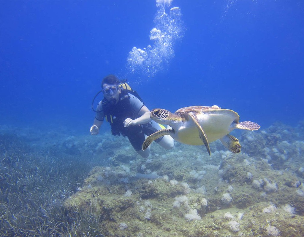 SİDE'DE DALIŞ TURU